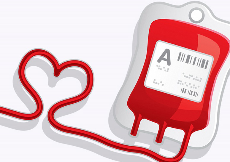 blood donate 500 353